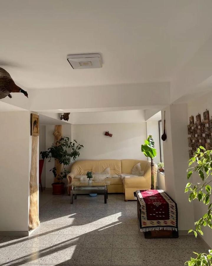 Casa De Vacanta Clara Maria Комарник Екстериор снимка