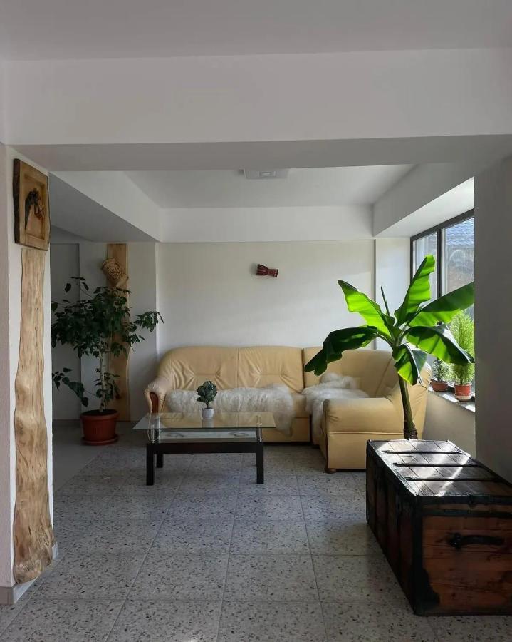 Casa De Vacanta Clara Maria Комарник Екстериор снимка